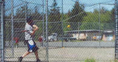 batting cage netting